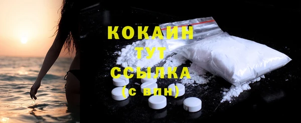 apvp Козельск