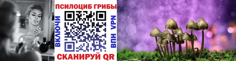 Купить где  Онега  Галлюциногенные грибы Cubensis 